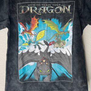 Boys' - How to Train Your Dragon - Dragon Poster Short Sleeve Graphic T-Shirt
